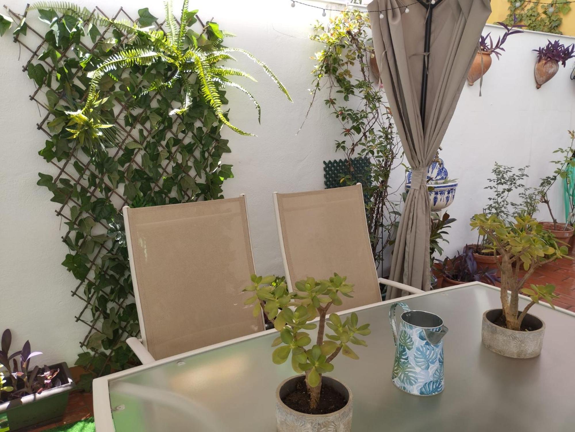 Patios Con Encanto Cordoba Ngoại thất bức ảnh