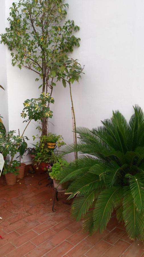 Patios Con Encanto Cordoba Ngoại thất bức ảnh